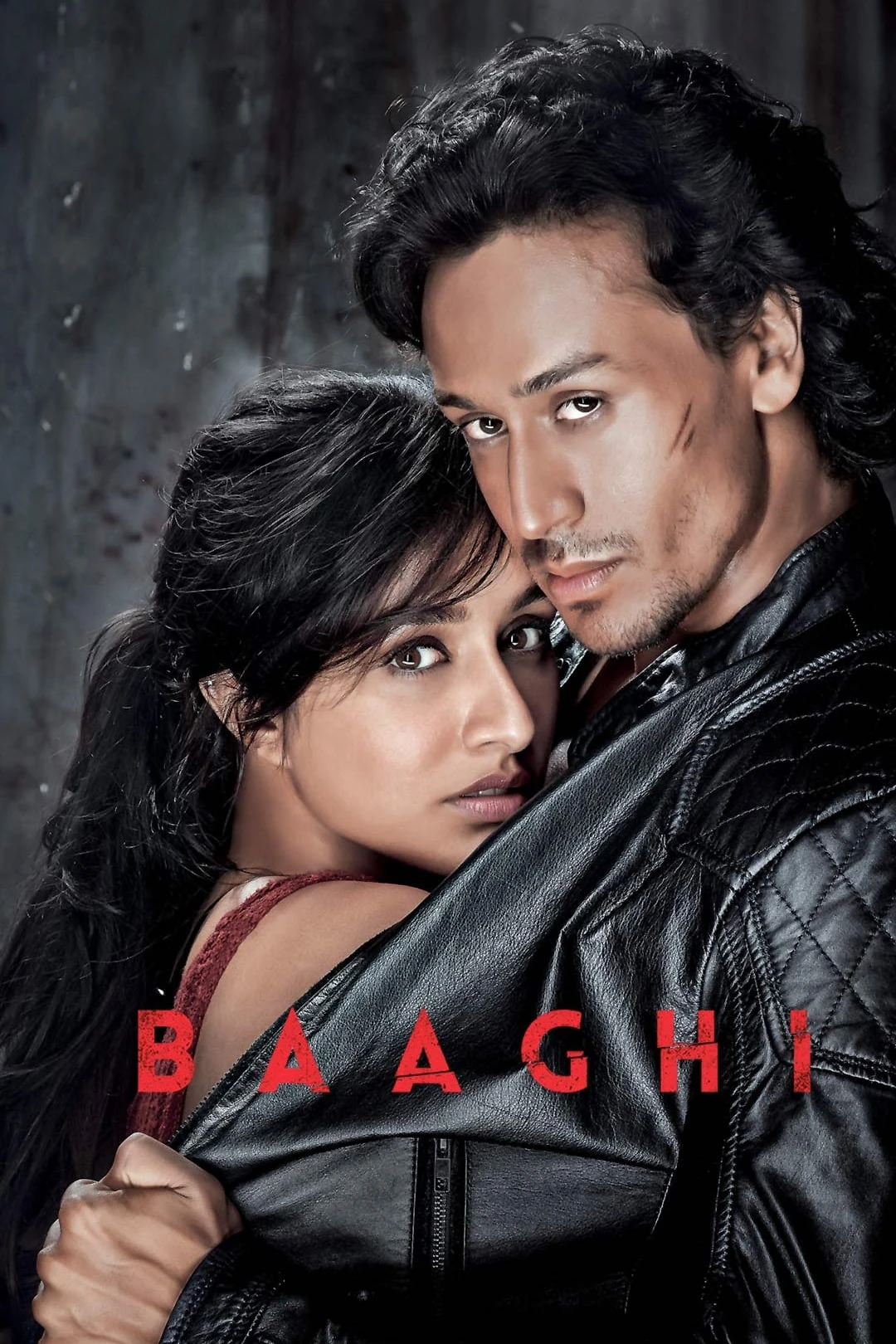 Giải Cứu Người Đẹp | Baaghi (2016)