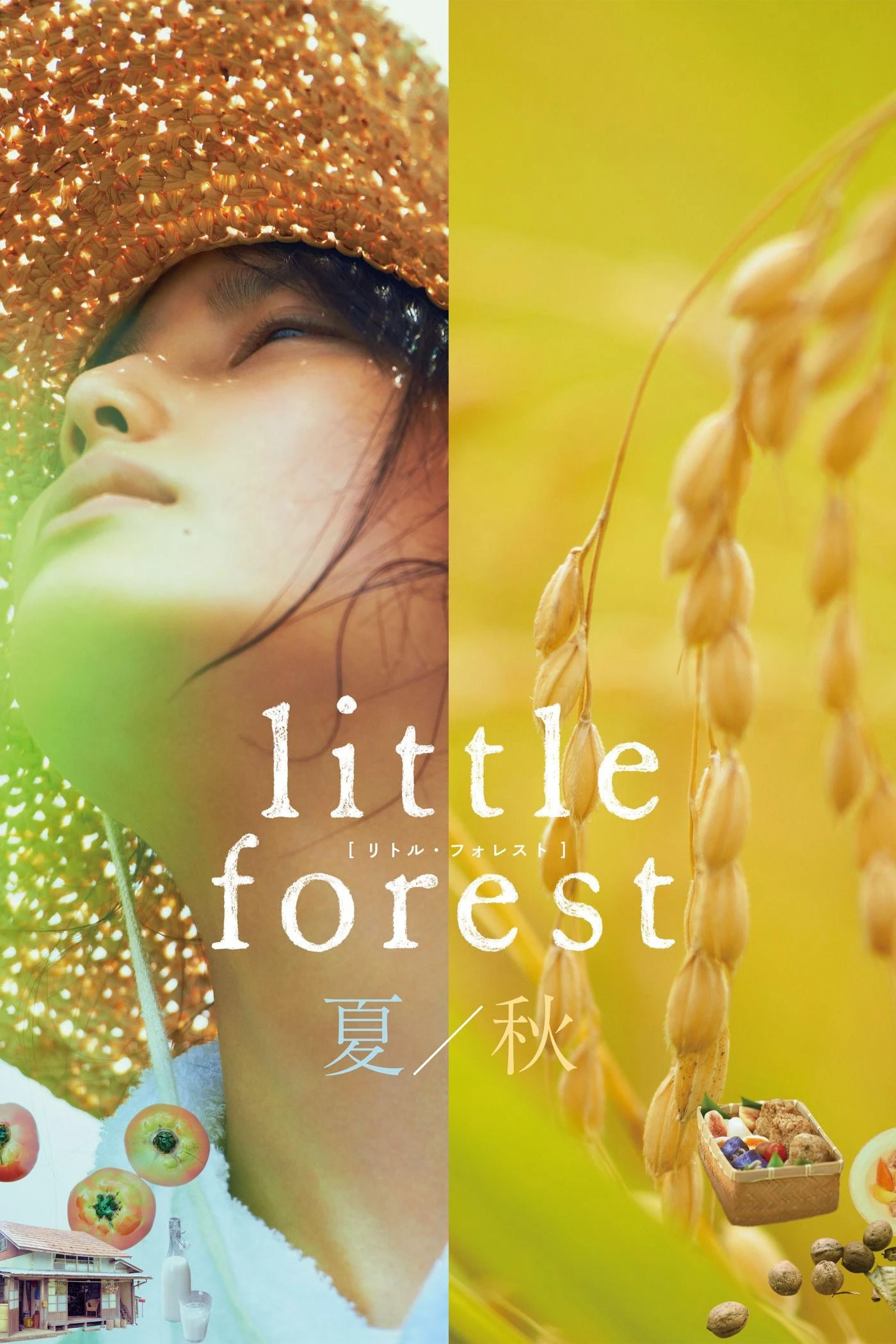 Khu Rừng Nhỏ- Hạ/Thu | Little Forest: Summer/Autumn (2014)